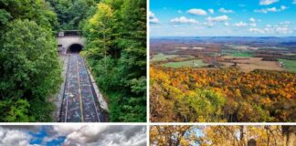 A four-photo collage from Buchanan State Forest in south-central Pennsylvania, featuring the graffiti-covered Sideling Hill Tunnel framed by lush summer trees, a wide autumn panorama overlooking colorful Ridge-and-Valley farmland, a sweeping mountain vista beneath dramatic clouds, and a leafy fall forest road beside a Buchanan State Forest entrance sign.