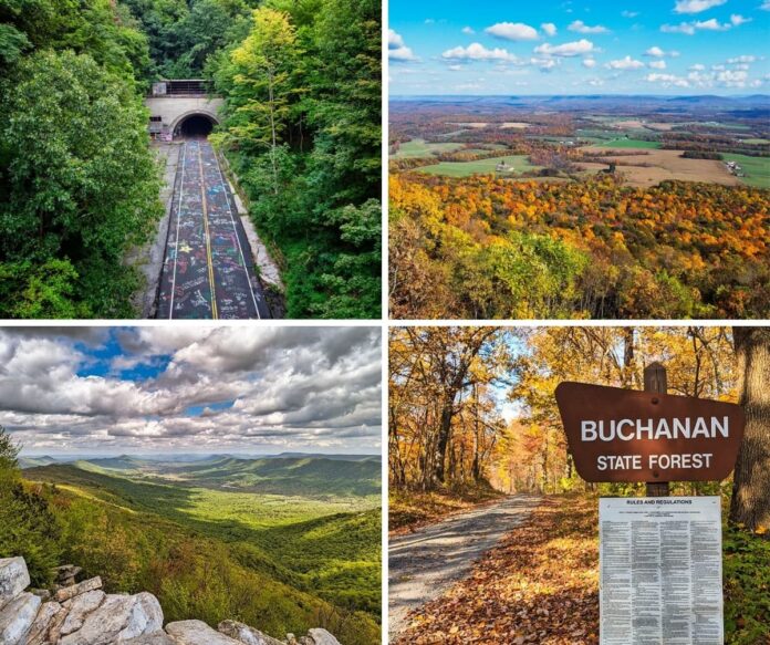 Buchanan-State-Forest-Must-See-Attractions A four-photo collage from Buchanan State Forest in south-central Pennsylvania, featuring the graffiti-covered Sideling Hill Tunnel framed by lush summer trees, a wide autumn panorama overlooking colorful Ridge-and-Valley farmland, a sweeping mountain vista beneath dramatic clouds, and a leafy fall forest road beside a Buchanan State Forest entrance sign.