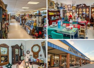 Collage of four images from Black Rose Antiques in Hanover, Pennsylvania, showing a long aisle of vendor booths filled with vintage items, a retro dining and holiday décor display, a wall of antique clocks and collectibles, and the exterior storefront with “Antiques & Collectibles” signage.