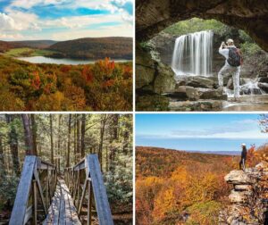 A collage of four scenes from Forbes State Forest in Pennsylvania, featuring a sweeping autumn overlook with vibrant foliage, a photographer capturing a waterfall from beneath a rocky alcove, a wooden footbridge surrounded by tall sunlit pines, and a hiker standing on a rocky outcrop overlooking rolling, fall-colored ridges.