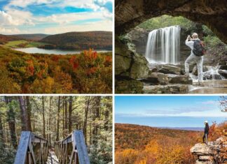9 Must-See Attractions in the Forbes State Forest A collage of four scenes from Forbes State Forest in Pennsylvania, featuring a sweeping autumn overlook with vibrant foliage, a photographer capturing a waterfall from beneath a rocky alcove, a wooden footbridge surrounded by tall sunlit pines, and a hiker standing on a rocky outcrop overlooking rolling, fall-colored ridges.