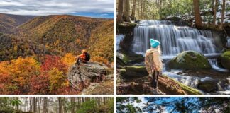A collage of four scenes from Pennsylvania’s Sproul State Forest, featuring a hiker perched on a rocky overlook above a vast, autumn-colored canyon; a winter waterfall with a bundled hiker standing beside the icy, moss-covered cascade; a tiered waterfall flowing over layered rock ledges into a serene woodland pool; and a sweeping summer vista looking down over a forested gorge and winding river framed by hemlock branches.