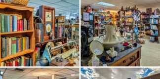 Collage of four photos taken at Dover Antique Mall in York County, Pennsylvania, showing interior vendor displays with antique books, clocks, artwork, vintage décor, and collectibles, along with an exterior view of the two-level antique mall building and roadside sign.