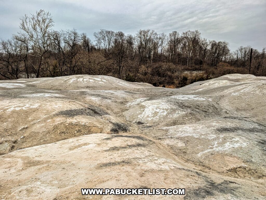 Rolling chalky quarry mounds with shallow erosion channels at the White Cliffs of Conoy, backed by leafless woodland under a cloudy sky in Lancaster County, Pennsylvania.