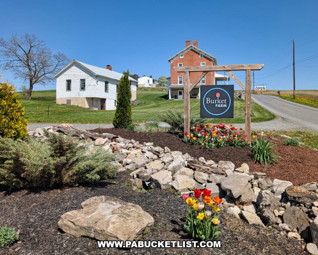 Burket Farm entrance sign framed by tulips and landscaped stones in Blair County, Pennsylvania, with historic farmhouse buildings and a country road under a clear blue sky