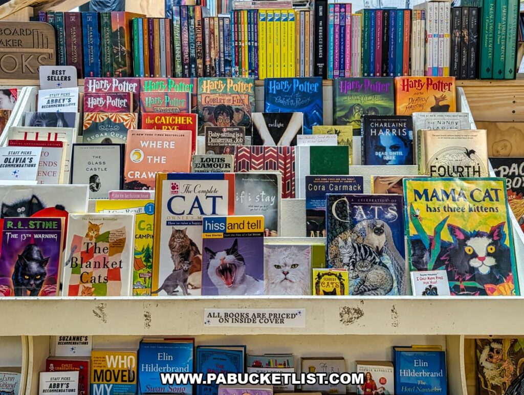 Display of colorful book covers at Cupboard Maker Books in Cumberland County, Pennsylvania, featuring staff picks, popular fiction, and several cat-themed titles arranged on a front-facing shelf inside the cozy Cat Bookstore.