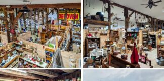 Collage showing interior vendor booths filled with antiques and collectibles alongside the red barn exterior of Cove Barn Antiques in Duncannon, Pennsylvania.