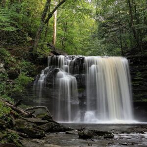 Harrison Wright Falls cascading over a wide rock ledge into a clear pool, surrounded by lush green forest at Ricketts Glen State Park in Pennsylvania.
