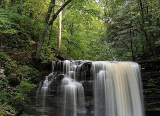 Harrison Wright Falls cascading over a wide rock ledge into a clear pool, surrounded by lush green forest at Ricketts Glen State Park in Pennsylvania.