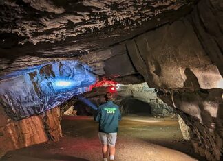 A visitor walks through a wide limestone passageway inside Woodward Cave in Centre County, Pennsylvania, illuminated by colorful cave lighting highlighting the low rock ceiling and textured walls.