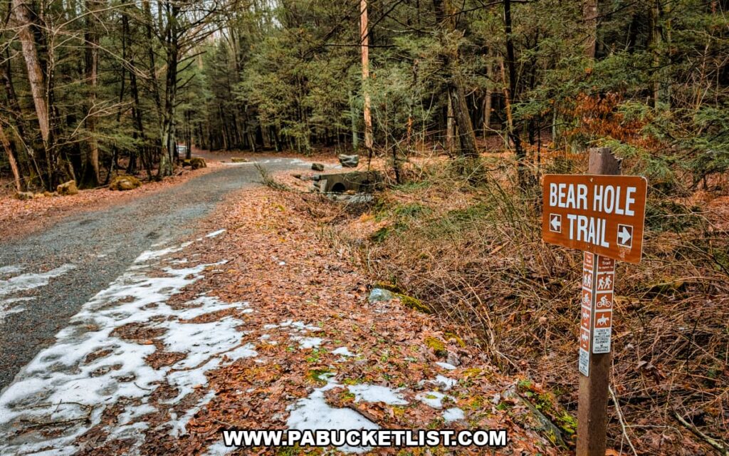 Bear Hole Trail sign along a gravel forest road near Bordner Cabin in Swatara State Park, Lebanon County, Pennsylvania, surrounded by hemlock trees and winter leaf cover.