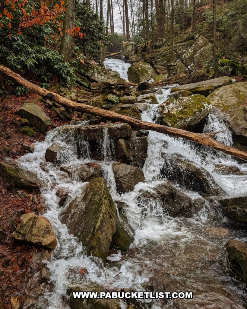 Acrigg’s Falls cascading over moss-covered boulders along Rattling Run near Bordner Cabin in Swatara State Park, Lebanon County, Pennsylvania, with fallen logs and forested hillsides surrounding the waterfall.
