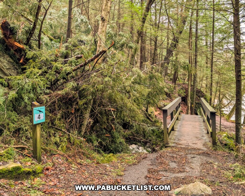 Wooden footbridge along the Kildoo Trail at McConnells Mill State Park in Lawrence County, Pennsylvania, with Slippery Rock Creek visible through the forest.