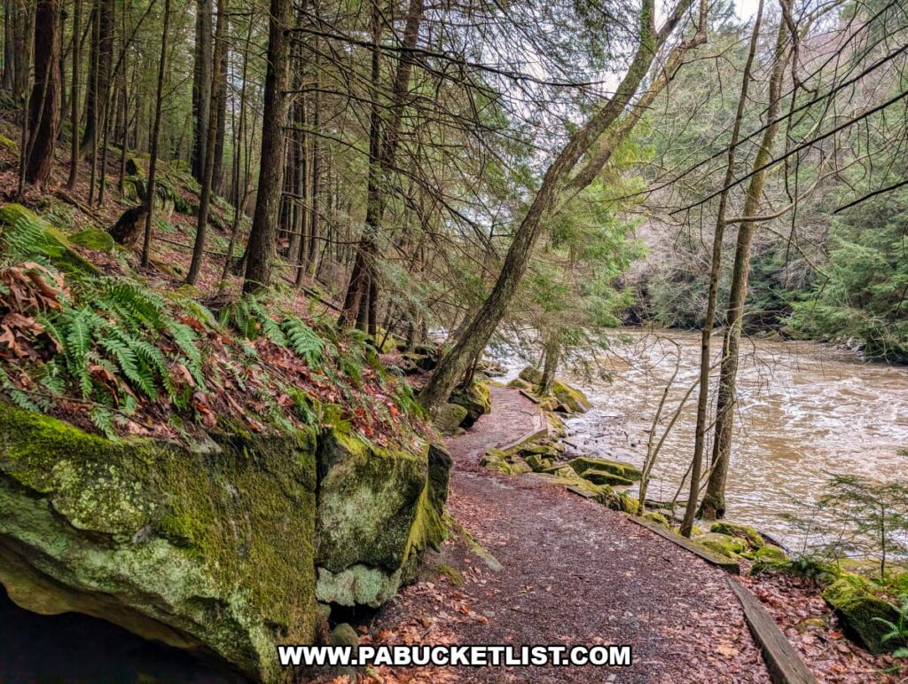 Forest-lined section of the Kildoo Trail beside Slippery Rock Creek at McConnells Mill State Park in Lawrence County, Pennsylvania.