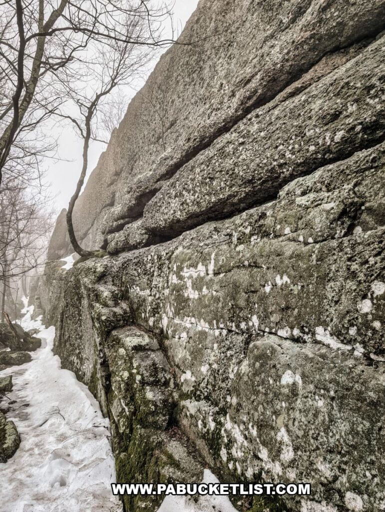 Close-up view of the layered quartz-pebble conglomerate rock wall at Boxcar Rocks on Sharp Ridge in Lebanon County, Pennsylvania, with a narrow snowy path and foggy forest beside the formation.