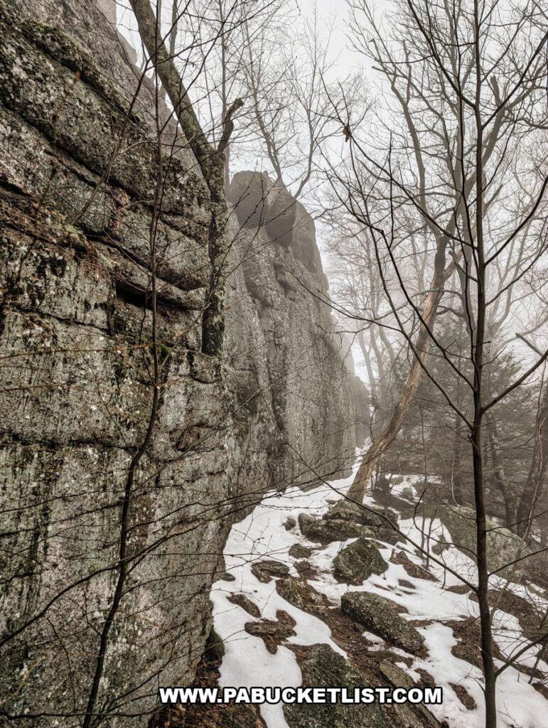 Towering conglomerate rock cliff at Boxcar Rocks on State Game Lands 211 in Lebanon County, Pennsylvania, rising above a snowy forest floor in foggy conditions.
