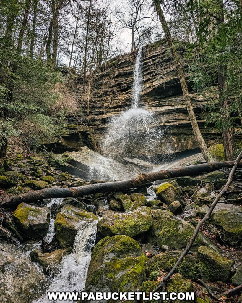 Alpha Falls plunging from a high sandstone cliff into a rocky, moss-covered gorge at McConnells Mill State Park in Lawrence County, Pennsylvania.