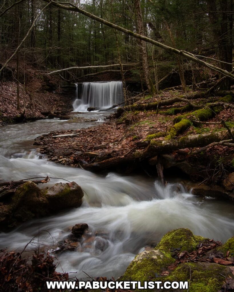 Downstream view of Grindstone Falls with flowing creek and moss-covered rocks along an unnamed tributary of Grindstone Run at McConnells Mill State Park in Lawrence County, Pennsylvania.