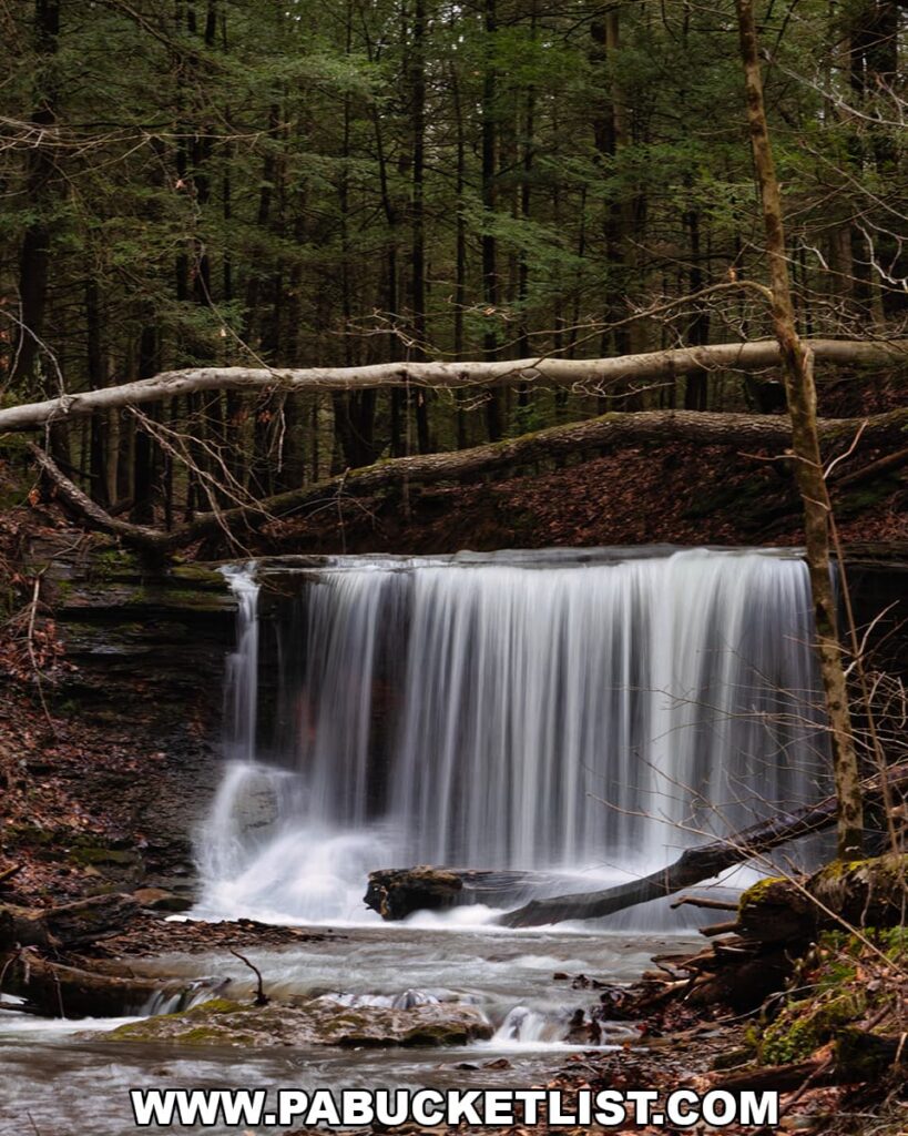 Grindstone Falls spilling over a rock ledge beneath fallen hemlock trees along an unnamed tributary of Grindstone Run at McConnells Mill State Park in Lawrence County, Pennsylvania.