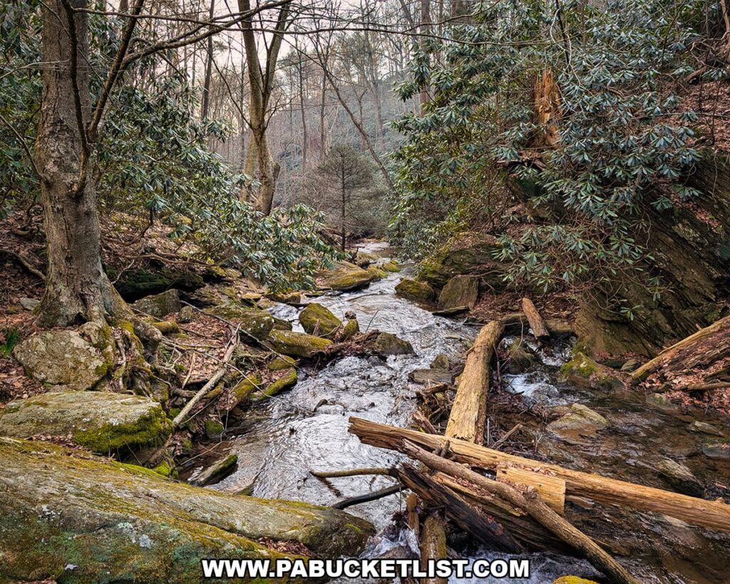 Mill Creek flowing through a rocky, forested ravine at the Lock 12 Historic Area in York County, Pennsylvania.