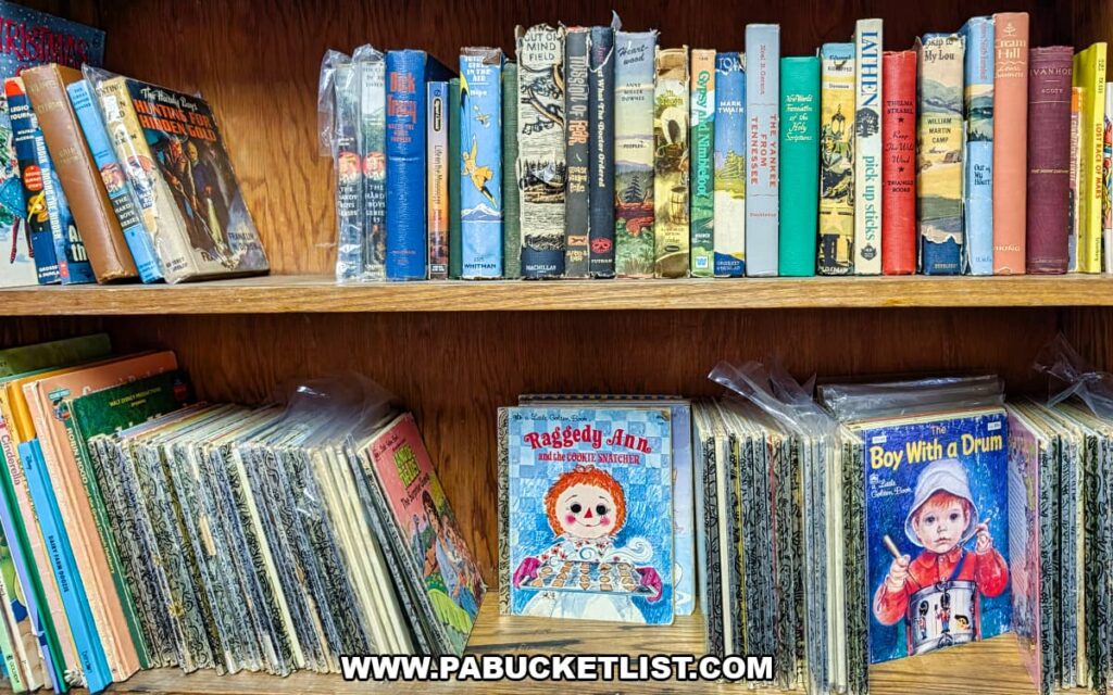 Shelves of vintage children's books and classic hardcovers for sale inside Sugar Grove Antiques in Somerset County PA