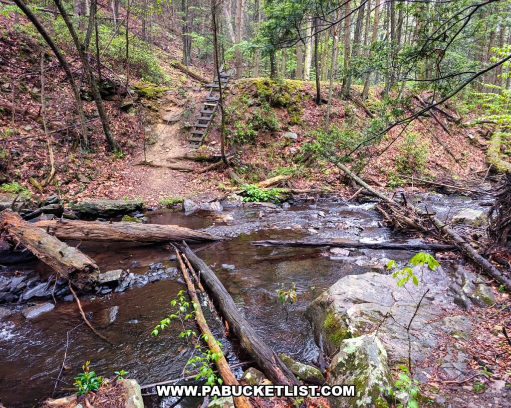 Ladder and stream crossing along the Jarrett Trail beside Roaring Run near Jarrett Falls in Fulton County, Pennsylvania