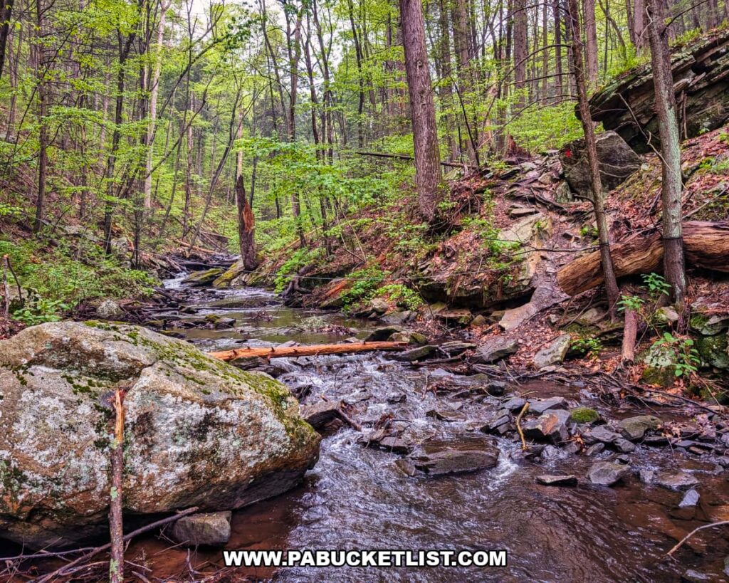 Rocky section of Roaring Run flowing through the forest near Jarrett Falls in Fulton County, Pennsylvania