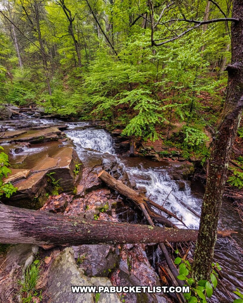 Upper cascades and lush forest scenery along Roaring Run near Jarrett Falls in Fulton County, Pennsylvania