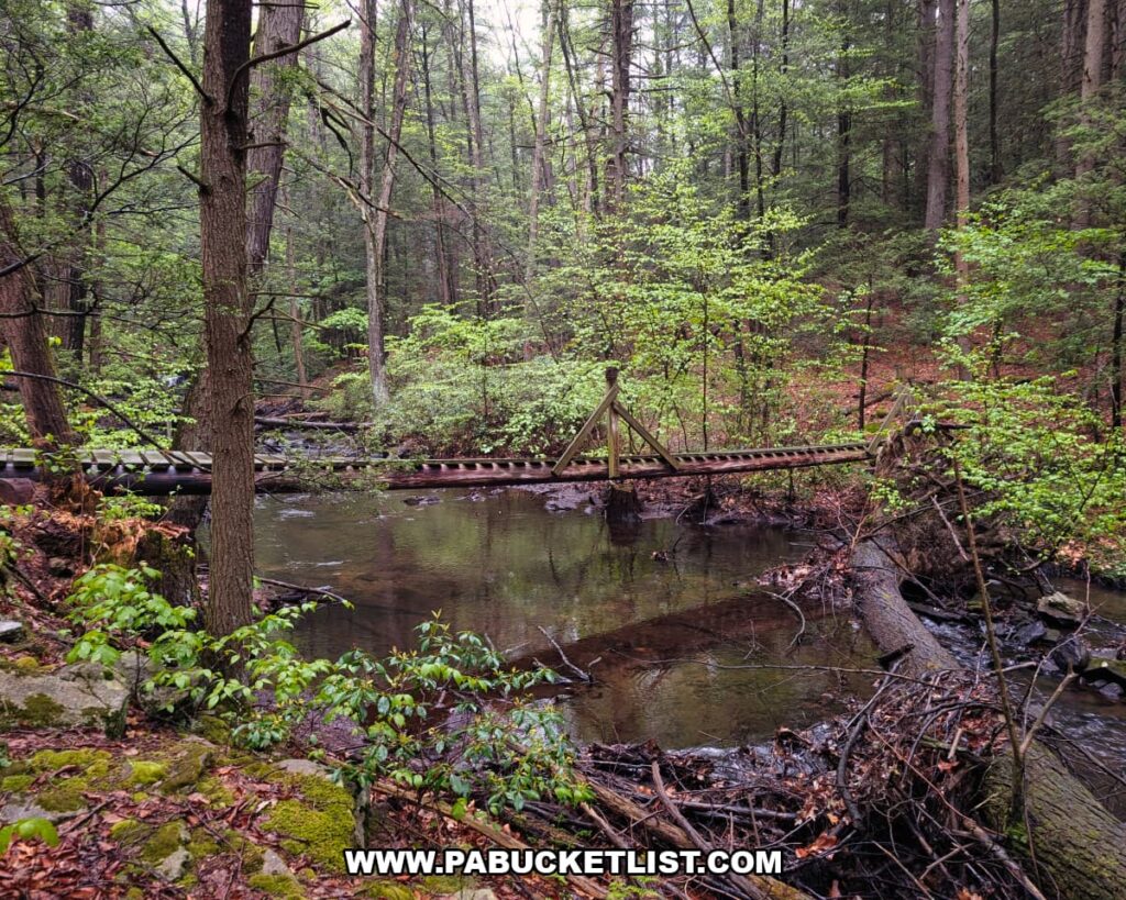 Suspension footbridge spanning Roaring Run along the Jarrett Trail on State Game Lands 53 in Fulton County, Pennsylvania