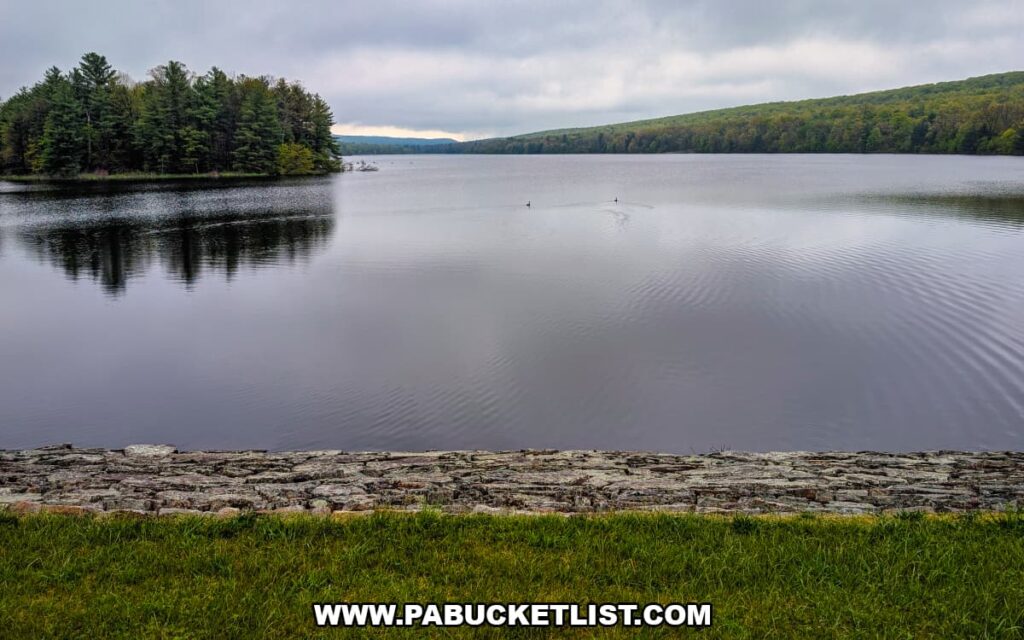 View from Jarrett Falls Trail overlooking Meadow Grounds Lake on State Game Lands 53 in Fulton County, Pennsylvania under overcast skies