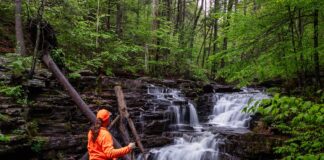 Hiker standing beside Jarrett Falls as the waterfall cascades over layered rock ledges on Roaring Run in Fulton County, Pennsylvania