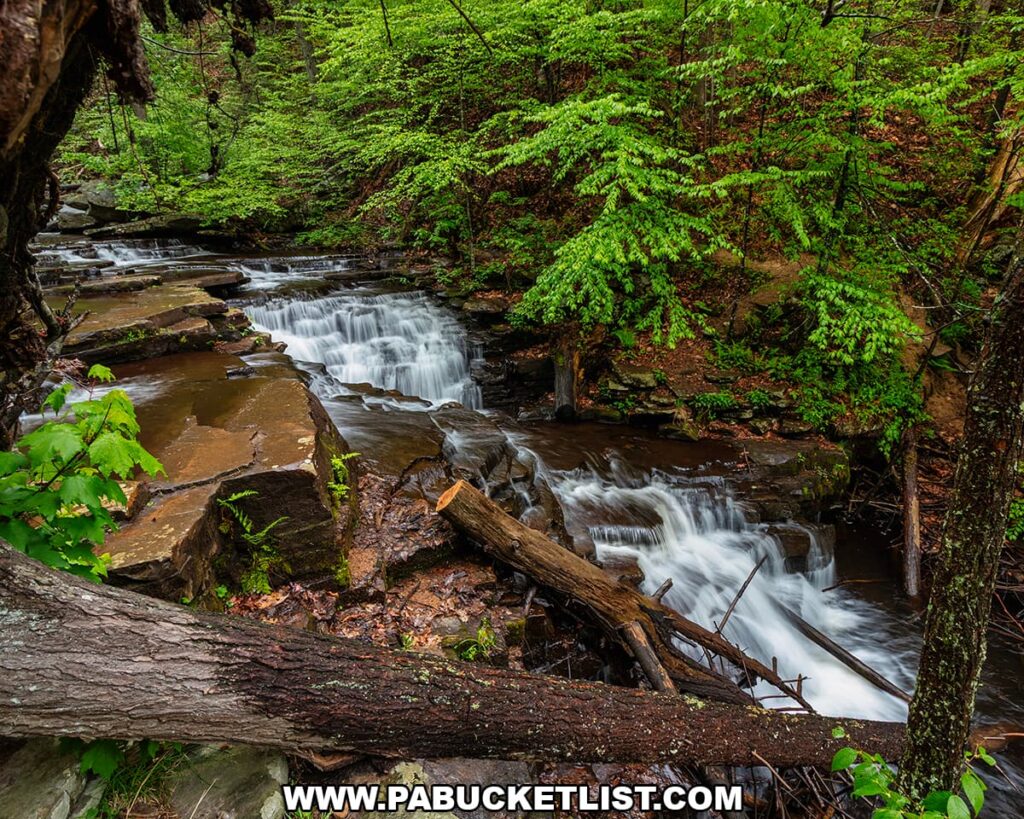 Top-down view of Jarrett Falls flowing through layered rock channels on Roaring Run in Fulton County, Pennsylvania