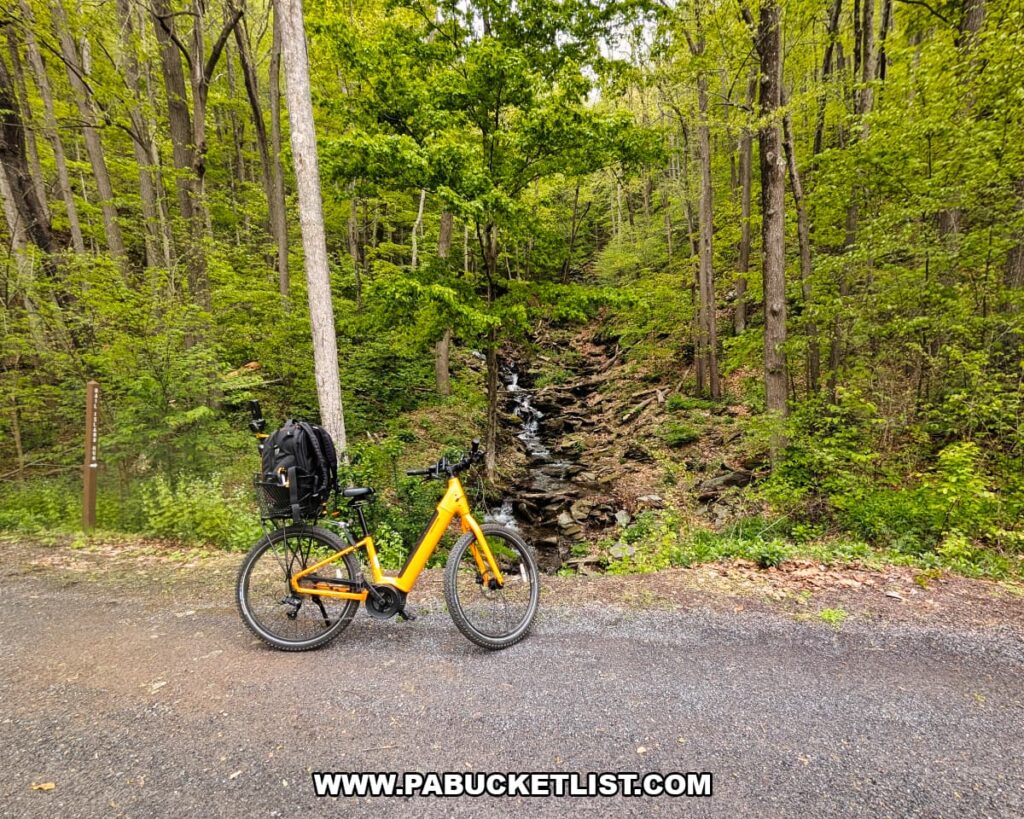 Electric bike parked along the Pine Creek Rail Trail at the stream leading to Rail Island Run Falls in Tioga County, Pennsylvania.