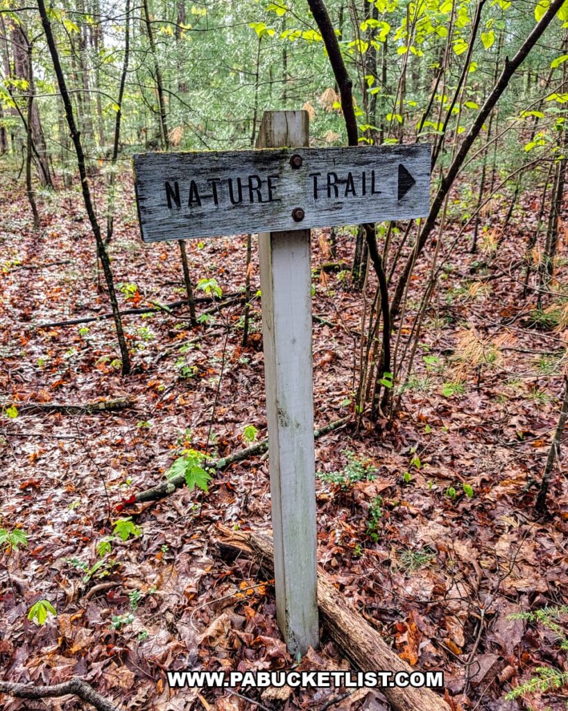 Wooden nature trail sign pointing right along a forest path at Hoverter and Sholl Box Huckleberry Natural Area in Perry County Pennsylvania.