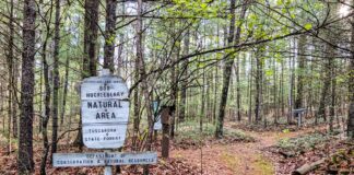 Trailhead sign for Hoverter and Sholl Box Huckleberry Natural Area along a forest path in Tuscarora State Forest Perry County Pennsylvania.