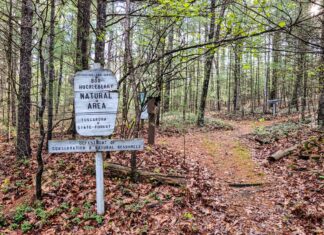 Exploring the Hoverter and Sholl Box Huckleberry Natural Area Trailhead sign for Hoverter and Sholl Box Huckleberry Natural Area along a forest path in Tuscarora State Forest Perry County Pennsylvania.