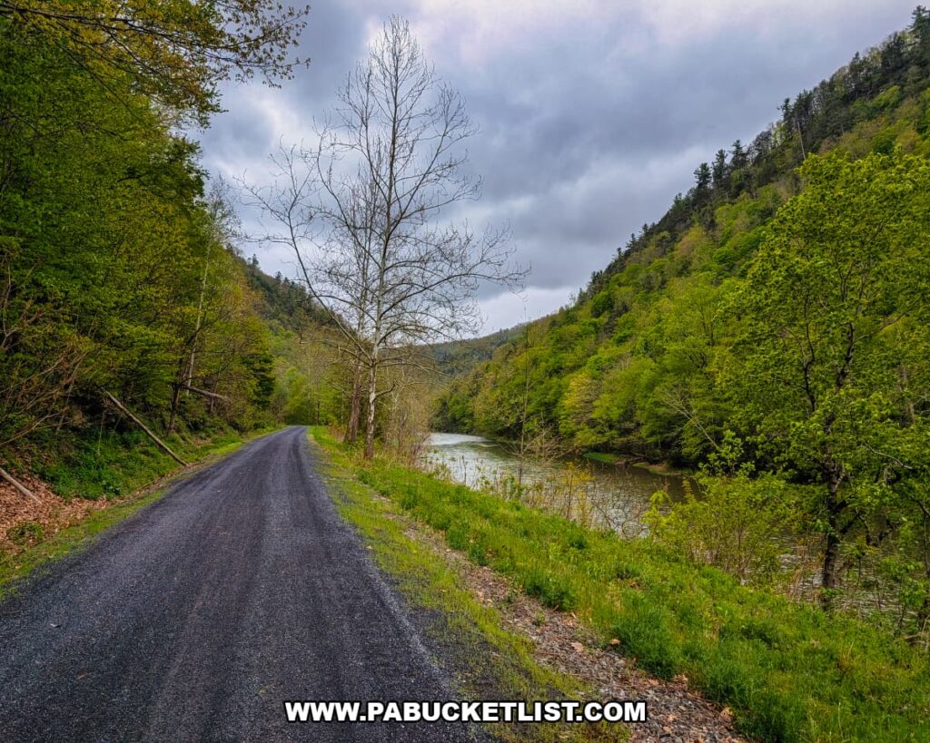 Pine Creek Rail Trail winding beside Pine Creek through the forested Pennsylvania Grand Canyon in Tioga County, Pennsylvania.