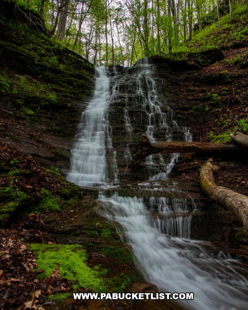 Rail Island Run Falls flowing over layered rock ledges beside a fallen tree in Tioga County, Pennsylvania.