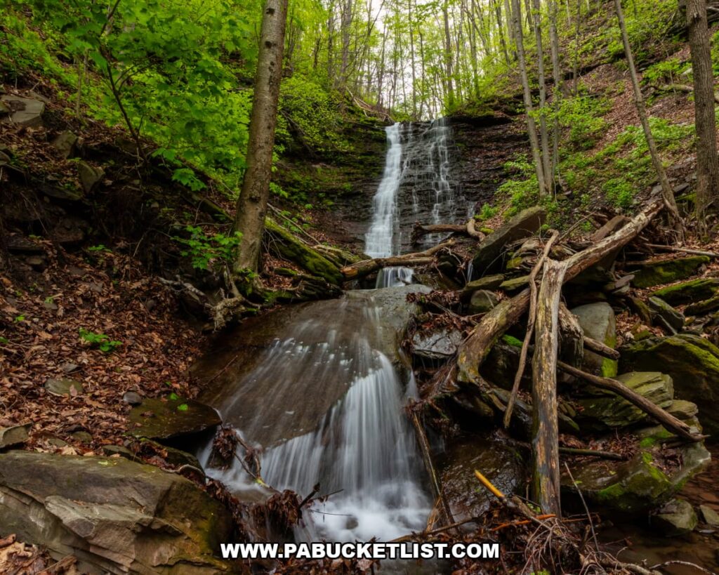 Lower cascade leading toward Rail Island Run Falls surrounded by rocks, fallen trees, and spring foliage in Tioga County, Pennsylvania.