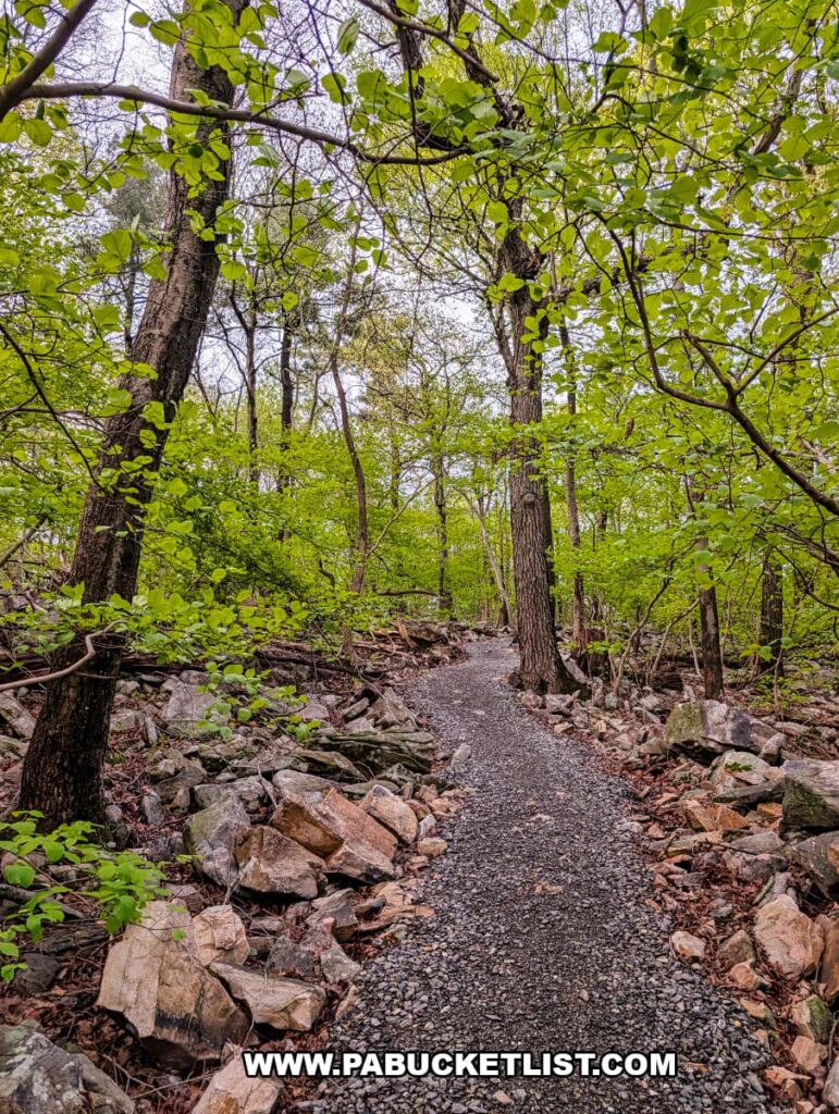 gravel hiking trail winding through leafy forest with rocky edges at waggoners gap hawk watch in perry county pennsylvania during spring foliage