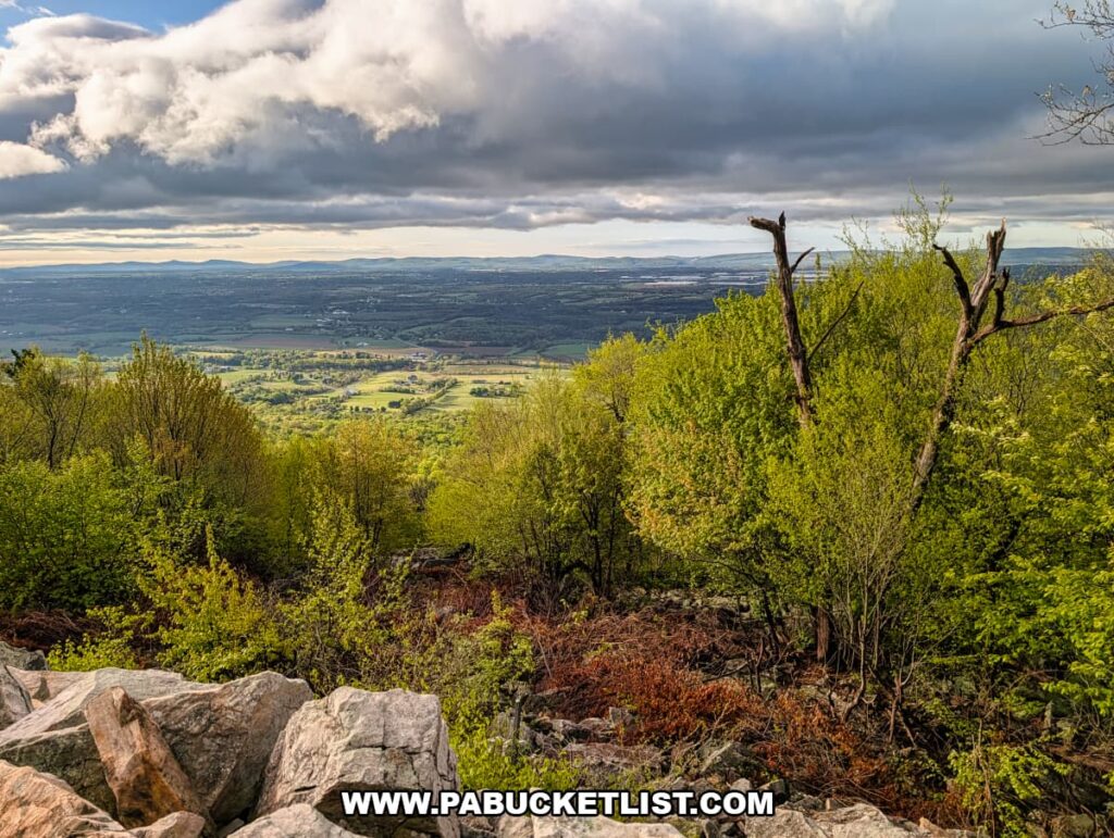 wide panoramic view from waggoners gap hawk watch in perry county pennsylvania showing green spring forest and farmland beneath dramatic clouds