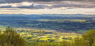sunlit patchwork farmland and rolling hills viewed from waggoners gap hawk watch in perry county pennsylvania framed by spring forest under dramatic clouds